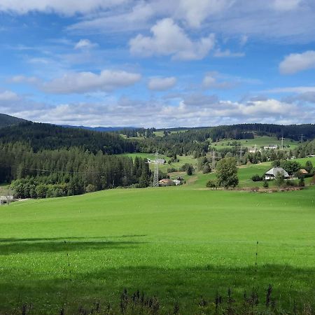 Ferienhutte- Haus Grafenhausen Villa Esterno foto